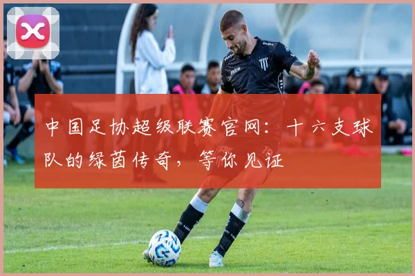 中国足协超级联赛官网：十六支球队的绿茵传奇，等你见证