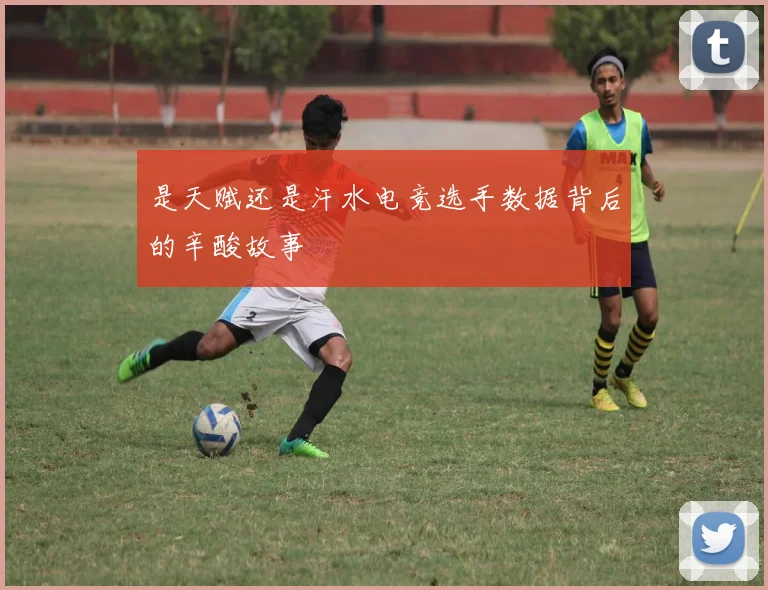 是天赋还是汗水电竞选手数据背后的辛酸故事