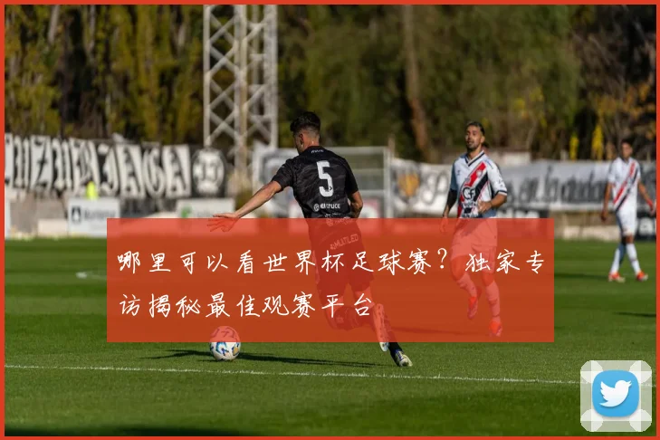 哪里可以看世界杯足球赛？独家专访揭秘最佳观赛平台