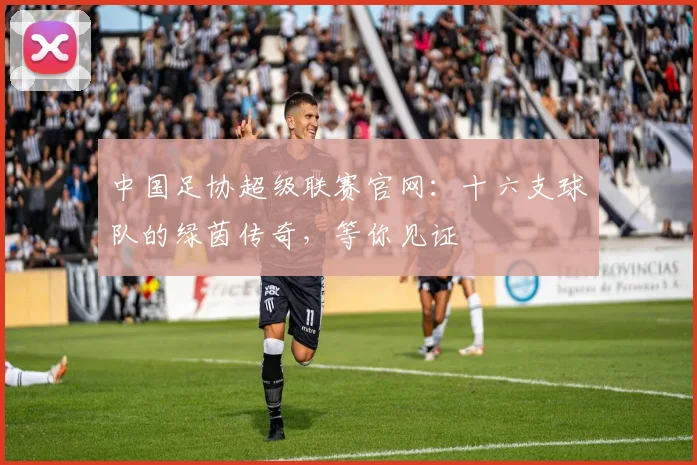 中国足协超级联赛官网:十六支球队的绿茵传奇,等你见证